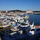 여기는 팔포항입니다 이미지