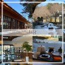 남이섬여행) 차담 카페 내돈내산 후기[자연을 담은 뷰 좋은 카페 추천/ 남이섬(나미나라공화국) 카페]
