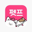 프렌즈독 이미지