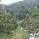 오봉농원 이미지