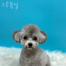 그루몽실 이미지