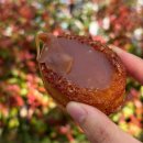 역전토스트분식 | 성심당 (떡반집도 갔다지, 토요일 오후 성심당 롯백점 웨이팅 및 망고시루 구매 후기, 성심당 빵 추천)