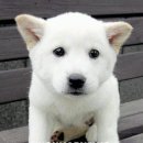 한비