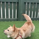 솔잎펜션 이미지