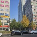 영민약국 | [23-24 남미여행준비] 황열병 예방접종 후기(+장티푸스, A형간염)