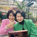 인셀덤 노블레스