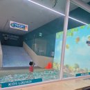 키카레포츠