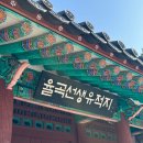 마당이수목원(느티나무동) | 서울 근교 단풍놀이 명소🍁 파주 이이 유적·율곡 수목원 후기