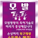 염색방장 이미지