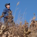 부발초교 이미지