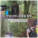 새오름 | 한남사려니오름숲 예약 후 아이들과 다녀온 제주오름추천 탐방 후기