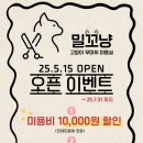 대구 고양이 미용 밀꼬냥 이미지