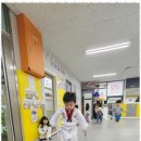 멘토 태권도 교육관 이미지