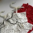[꿀템소개]댕룩👚🐾 내돈내산 반려견 옷