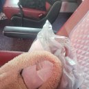 부산 서면 가챠 투어 : 치이카와 굿즈 토벌 후기 ♥︎