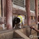 창건약품 이미지