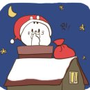 라미펫살롱 이미지