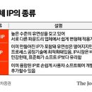 IP전자 이미지