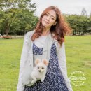 블리스디자인 이미지