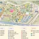 🌸 2025 드림파크 벚꽃축제! 일정·전시·포토존·주차까지 완벽 가이드