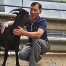 친환경 염소농장 이미지