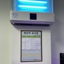 한우대잔치 | [전주 한우 맛집] "금빛한우" 투뿔 한우 안심 솔직후기!