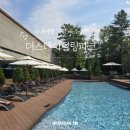 패밀리파크 물놀이시설(수영장) | 서울근교ㅣ가평 자연 속에서 즐기는 '아쿠아패밀리풀' 더스테이힐링파크 옥천수 야외수영장 내돈내산 후기