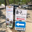 베르테라