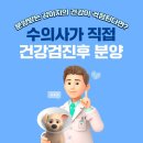 로얄독강아지분양 | 파주애견샵 플레이독 파주본점 건강한 강아지분양 후기