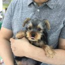 스타멍스 이미지