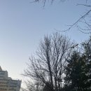 ㈜원흥 풍동지점 | 조부자 순대국 먹으러 춘천가는 인간 (춘천여행, 국수닭, 소울로스터리, 초가뭉텅찌개)
