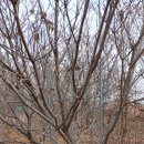 재한농장 이미지