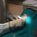 관절천국 이미지