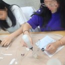 완도여자중학교 이미지