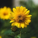 몽베르컨트리클럽 이미지