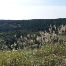 성읍리-6 이미지