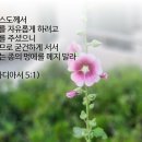 다시는 종의 멍에를 메지말라 성구이미지 이미지