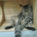 선릉역 약국 이미지