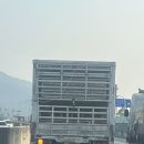 나우커피동탄송동점 | 부리부리대마왕테이블갖고싶다