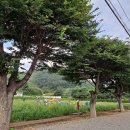 사곡면 국민체육센터 이미지