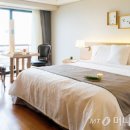 프레쉬 힐 이미지