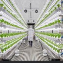 중동농장 이미지