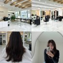 사우로 | 김포 사우동미용실 안녕헤어 김포사우점에서 C컬펌 후기