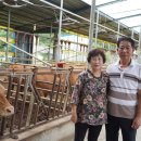 현우축산 이미지