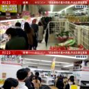 KF94 마스크를 접한 일본 국민들의 반응 이미지