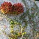 이화의료원어린이집 이미지