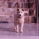 선비샘민박 이미지