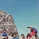 성일통상(주) Daum카페