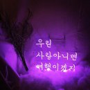 껍딱&모모 - 광양시 공영로 75 | 8월 5장