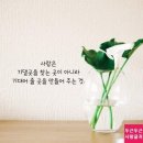스무하루